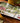 Birch Sledding Tray  Felix Doolittle