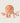 Jelly Fish Mini