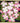 Pink Dogwood Tray