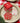 Christmas Trivia Game