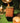 Tea Halloween